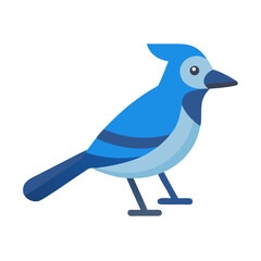 Flat Vector Graphic Blue Jay Illustration on Black Background
