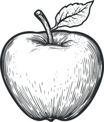 Black and white hand drawn sketch of an apple with a leaf and stem, detailed illustration