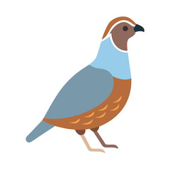 Stylized Partridge Bird Illustration on Black Background