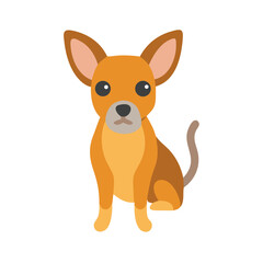 Cute chihuahua dog illustration in flat design on black