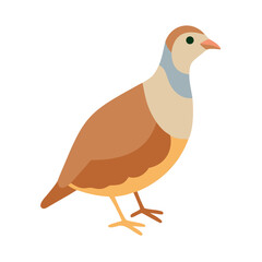 Elegant partridge illustration with flat design and muted tones
