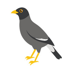 Minimalist vector illustration of a grey starling bird