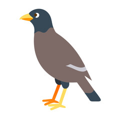 Isolated Myna bird graphic with clean lines on black