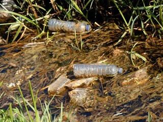 Plastic bottles polluting natural wetland