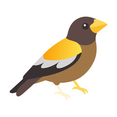 Illustration of a brown bird standing on a black background