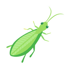 Flat vector illustration of a green grasshopper on black