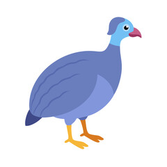 Cartoon Blue Crowned Pigeon illustration with black background