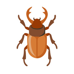Flat vector stag beetle illustration on black background