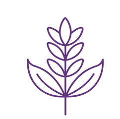 flower vector on with background