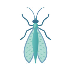 Flat stylized mayfly illustration isolated on black background graphic
