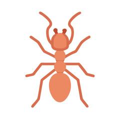 Illustration of a simple ant with orange color scheme