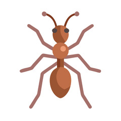 Graphic ant illustration with a black background insect art