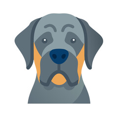 Stylized grey dog portrait on black background studio shot