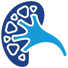Kidney Icon