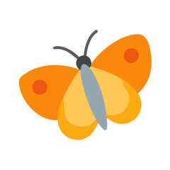 Flat design butterfly illustration on a black background image