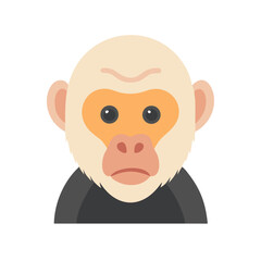 Cartoon monkey portrait with flat design style illustration