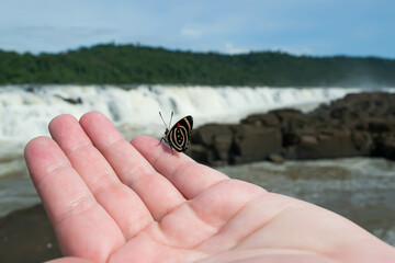 Butterfly on a human hand on the background of the waterfall