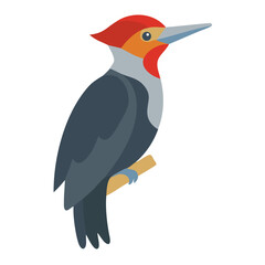Flat vector illustration of woodpecker perched on a branch