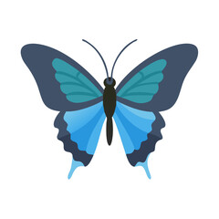 Stylized blue butterfly illustration with symmetrical wings on black background