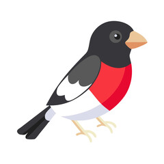 Colorful rose breasted grosbeak flat vector bird illustration graphic