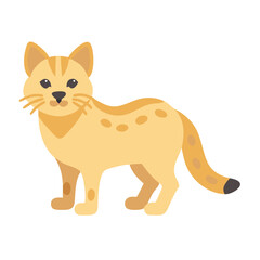 Stylized flat illustration of feline domestic cat vector graphic