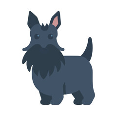 Flat vector illustration of Scottish Terrier dog on black