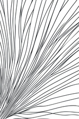 Abstract black and white pattern of flowing curved lines creating a modern minimalist design