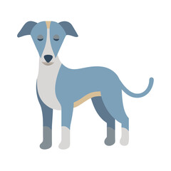 Illustration of a smooth coated dog standing elegantly