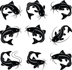 Detailed Catfish Silhouette Set | Freshwater Fish Vector Icons Catfish Silhouettes Collection | Fishing, River Fish, Aquatic Graphic Pack