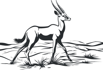 Black and white vector illustration of an antelope walking in a desert landscape with sparse grass © vadymstock