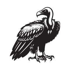 Predatory Poise Vulture silhouette – Vulture illustration – Minimalist Vulture vector – Bird silhouette

