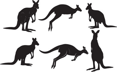 Kangaroo Silhouette vector illustration