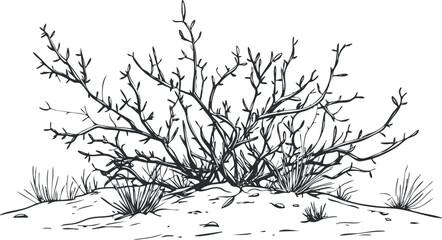 Black and white illustration of a leafless bush with branches and grass in a dry sandy environment