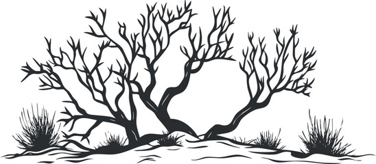 Black and white illustration of leafless desert shrubs and bushes in a dry arid landscape