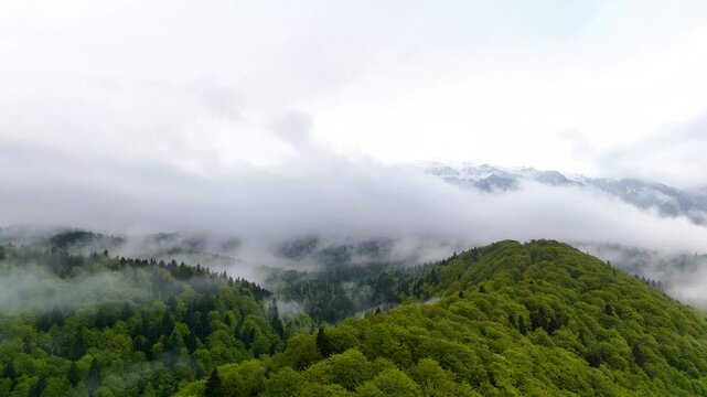 Aerial drone view of mountain landscape with fog coming out of green forest after the rain in late spring season	