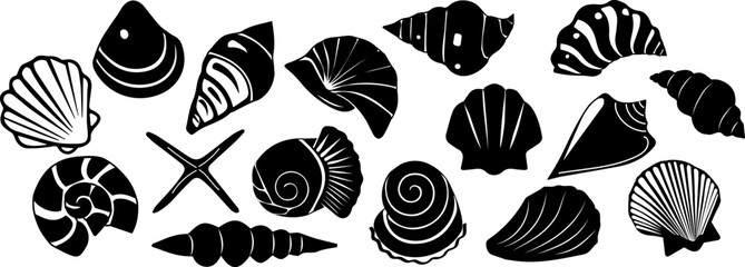 Set of vector seashell icons.Black seashell illustrations in a minimalist style.