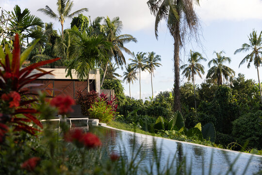 View of infinity pool in luxury villa in a tropical destination surrounded by palm trees and tropical plants on a sunny day.