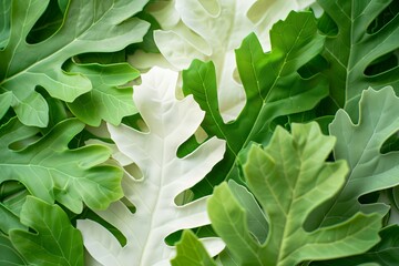 An array of vibrant green and pale leaves overlapping, showcasing a beautiful natural texture and rich hues perfect for a fresh and organic aesthetic.