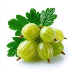Gooseberries with leaves isolated on white background. use cases: cooking, dessert, ingredient.