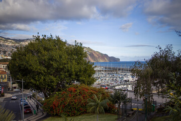 Beautiful view of the marina in Funchal, Madeira with lush greenery and scenic coastline in the...