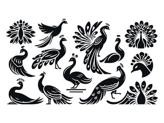Peocock Vector Icon Pack