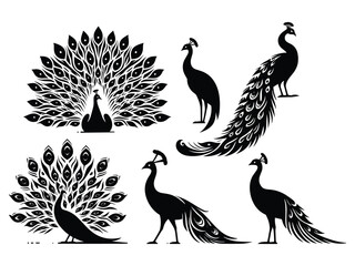Peocock Vector Icon Pack