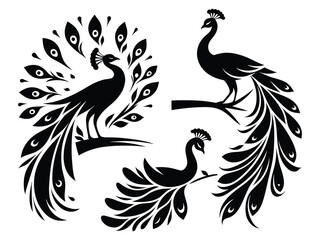 Peocock Vector Icon Pack