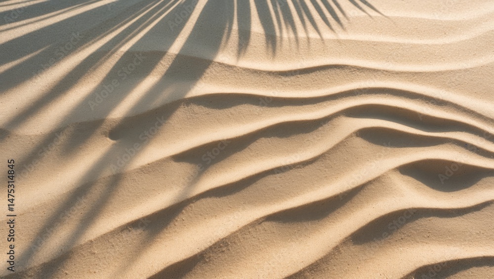Poster delicate sand surface in beige tones with subtle shadows of palm leaves, creating a peaceful beach s