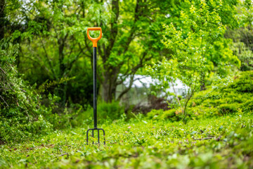 A pitchfork stuck in the dirt on a sunny spring day. Green garden in background.