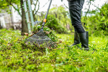 Gardener raking cutting leaves  and shrubs in the garden. Garden rake. Spring garden. Garden work.