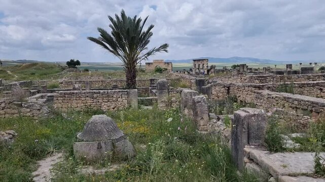 Scenery with the ruins of Volubilis, a partly eexcavated Berber-Roman city in Morocco, flourished near Meknes. Once a Mauretanian capital, it thrived under Roman rule, boasting grand architecture.