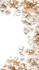 Dried Hydrangea Flowers Scattered on White Background Flat Lay Top Down Still Life Floral Arrangement