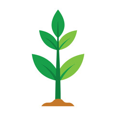 Small plant sprout illustration depicting growth and new beginnings against white backdrop