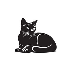 Burmese Cat Vector Silhouette: Sleek and Muscular Feline Illustration Highlighting the Breed’s Distinctive Rounded Features, Glossy Coat, and Expressive Eyes in Clean, Minimalist Vector Style.
